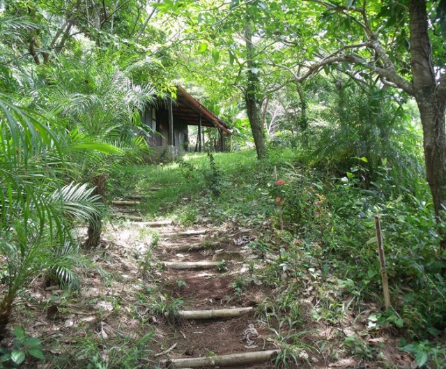 Fully natural environment 